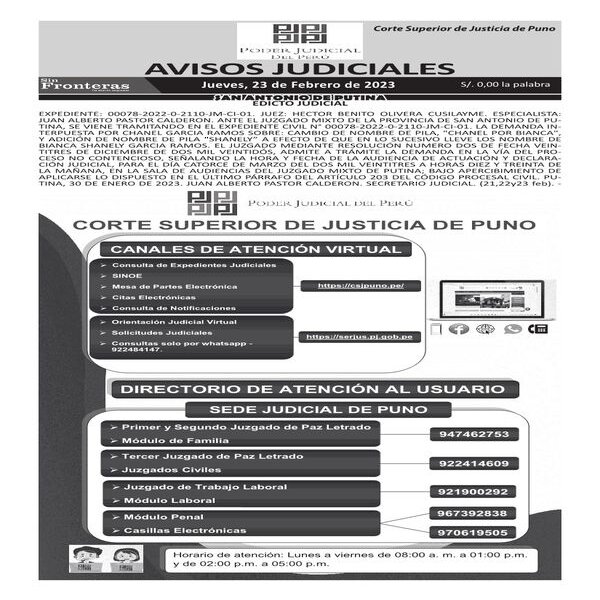  JUDICIALES PUNO 23022023