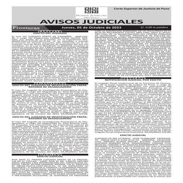  JUDICIALES PUNO 05102023