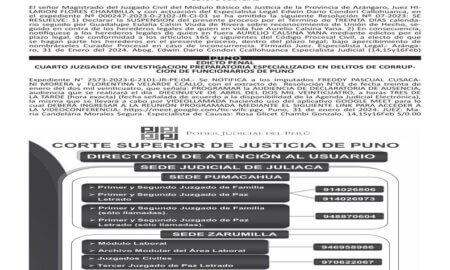 JUDICIALES PUNO