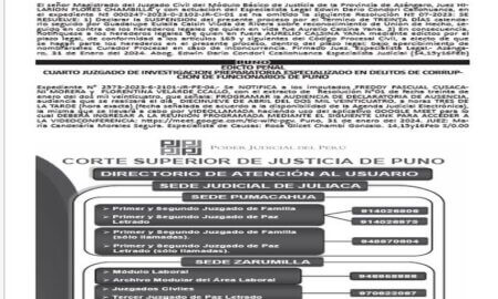 JUDICIALES PUNO