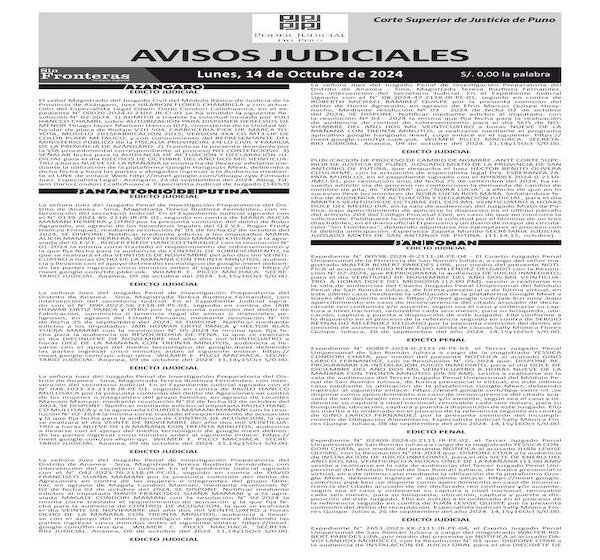 JUDICIALES PUNO