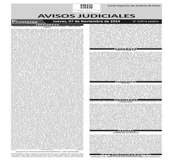 JUDICIALES PUNO