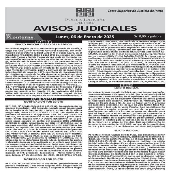 JUDICIALES PUNO