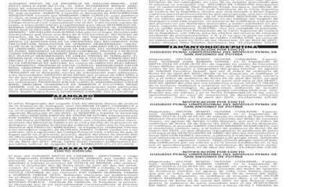 JUDICIALES PUNO