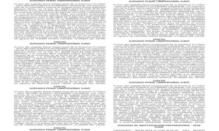 JUDICIALES PUNO