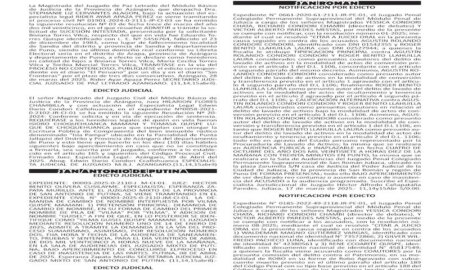 JUDICIALES PUNO
