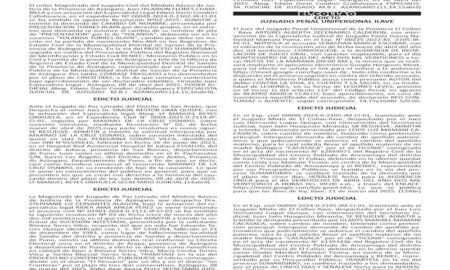 JUDICIALES PUNO
