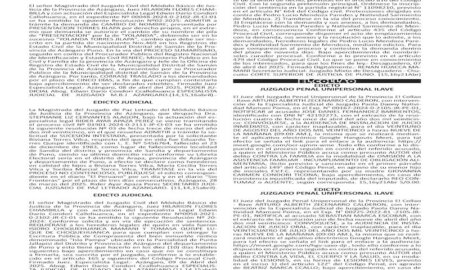 JUDICIALES PUNO