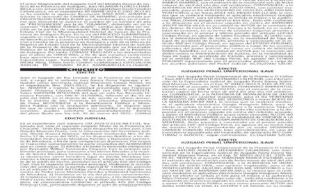 JUDICIALES PUNO