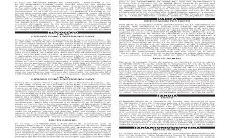 JUDICIALES PUNO