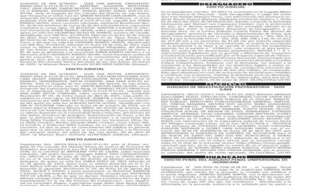 JUDICIALES PUNO