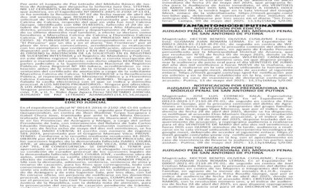 JUDICIALES PUNO