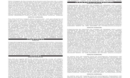 JUDICIALES PUNO