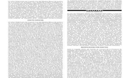 JUDICIALES PUNO
