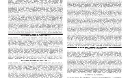 JUDICIALES PUNO