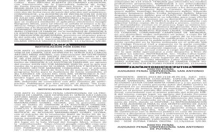 JUDICIALES PUNO
