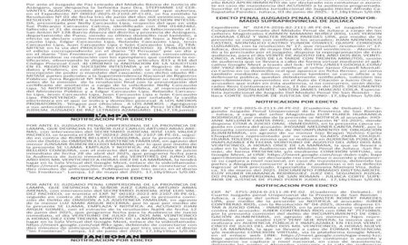 JUDICIALES PUNO