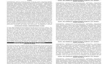 JUDICIALES PUNO
