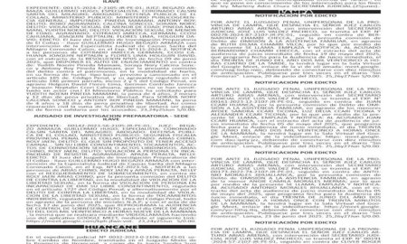 JUDICIALES PUNO