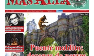SUPLEMENTO MAS ALLA