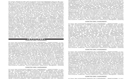 JUDICIALES PUNO