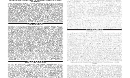 JUDICIALES PUNO