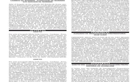 JUDICIALES PUNO