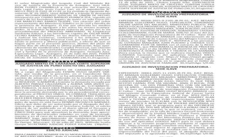 JUDICIALES PUNO