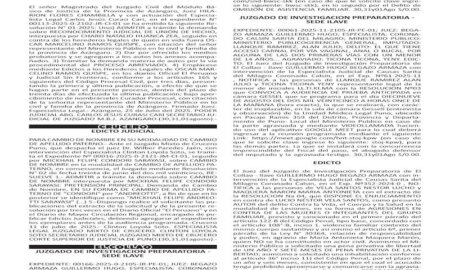 JUDICIALES PUNO