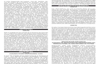 JUDICIALES PUNO