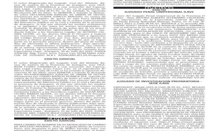 JUDICIALES PUNO