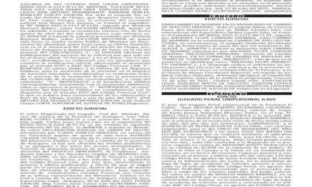 JUDICIALES PUNO