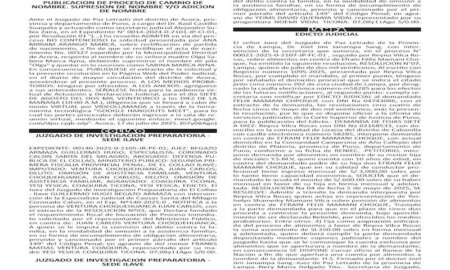 JUDICIALES PUNO