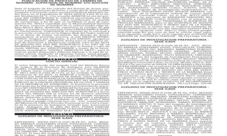 JUDICIALES PUNO