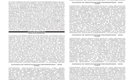 JUDICIALES PUNO