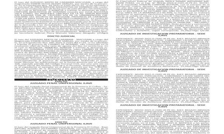 JUDICIALES PUNO