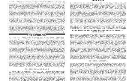 JUDICIALES PUNO