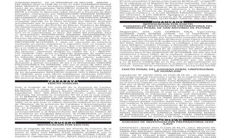 JUDICIALES PUNO