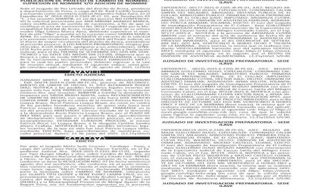 JUDICIALES PUNO